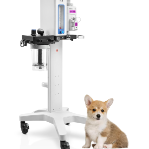 Máquina de anestesia veterinaria Veta 3