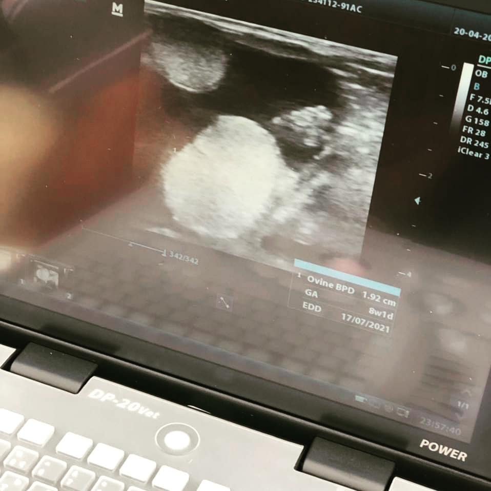 innovett-vertical-10