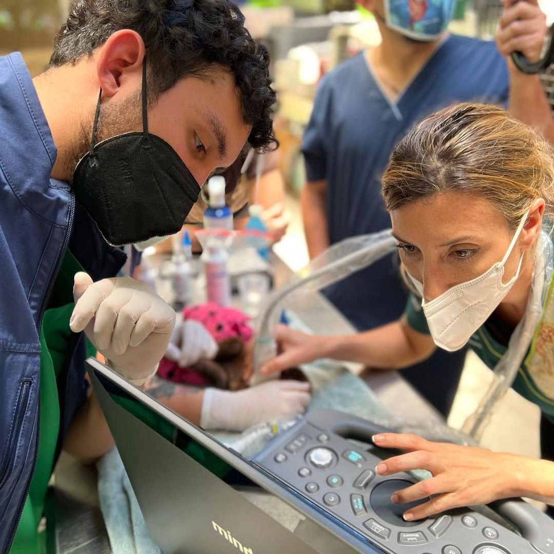 innovett-vertical-18