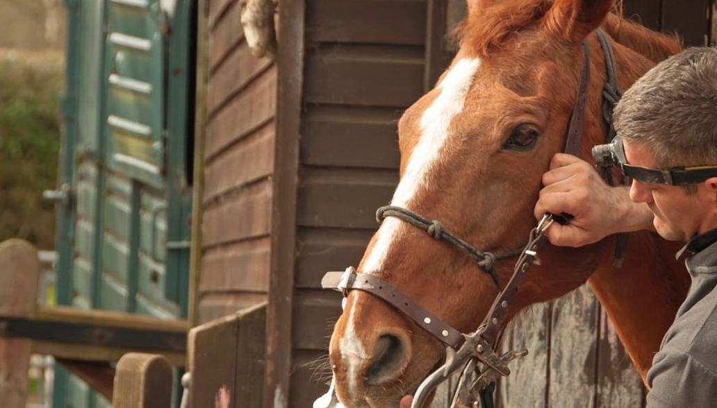 innovett-vertical-22