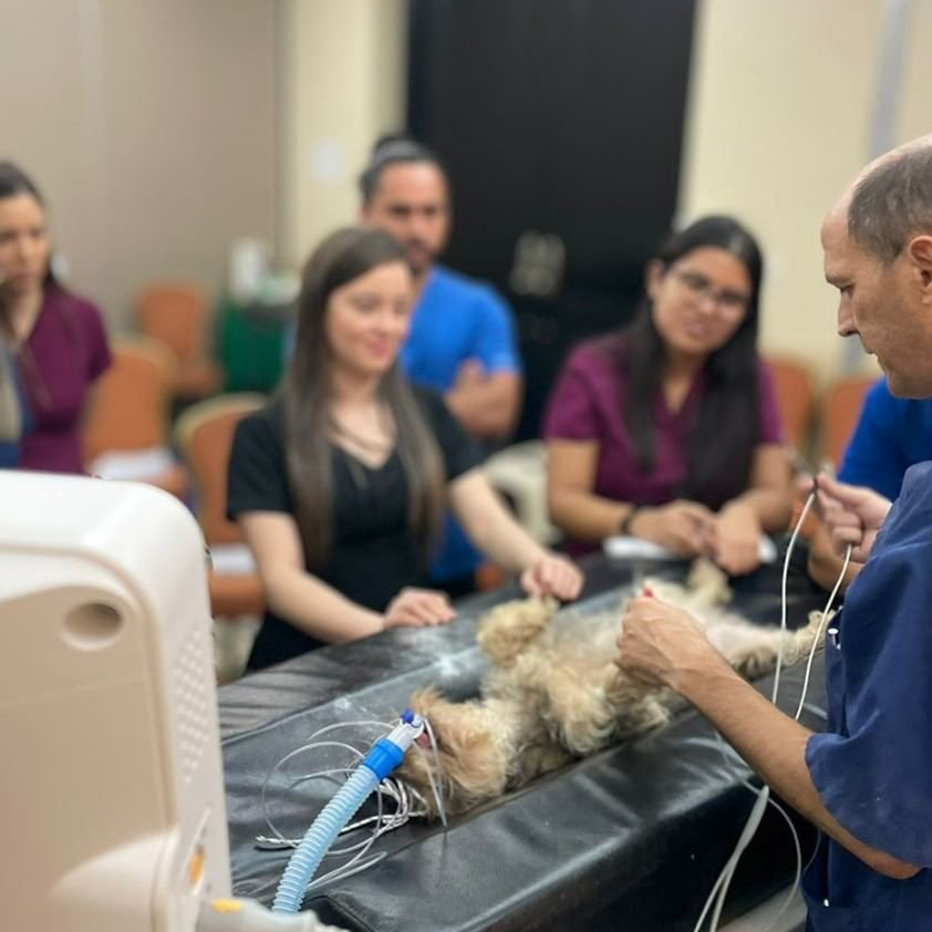 innovett-vertical-25