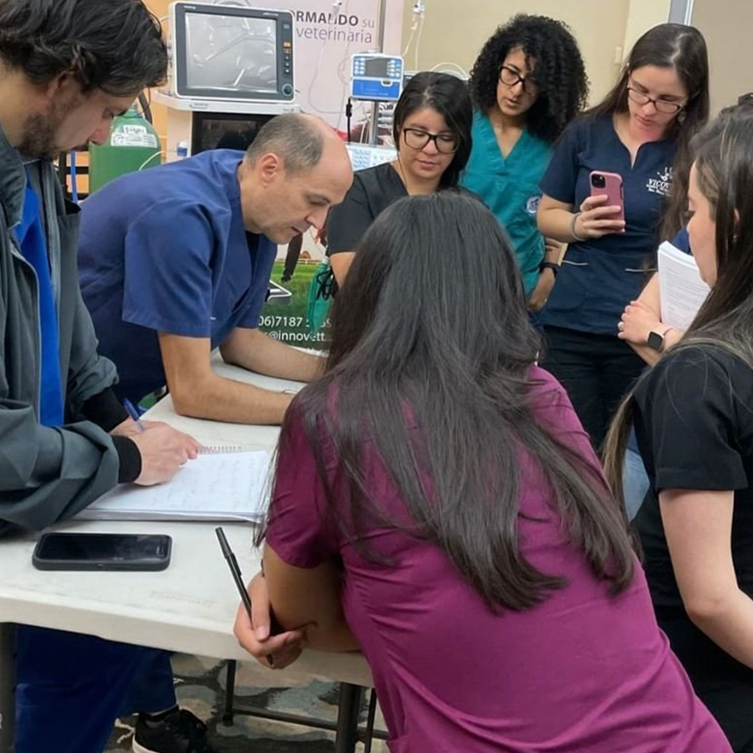 innovett-vertical-26