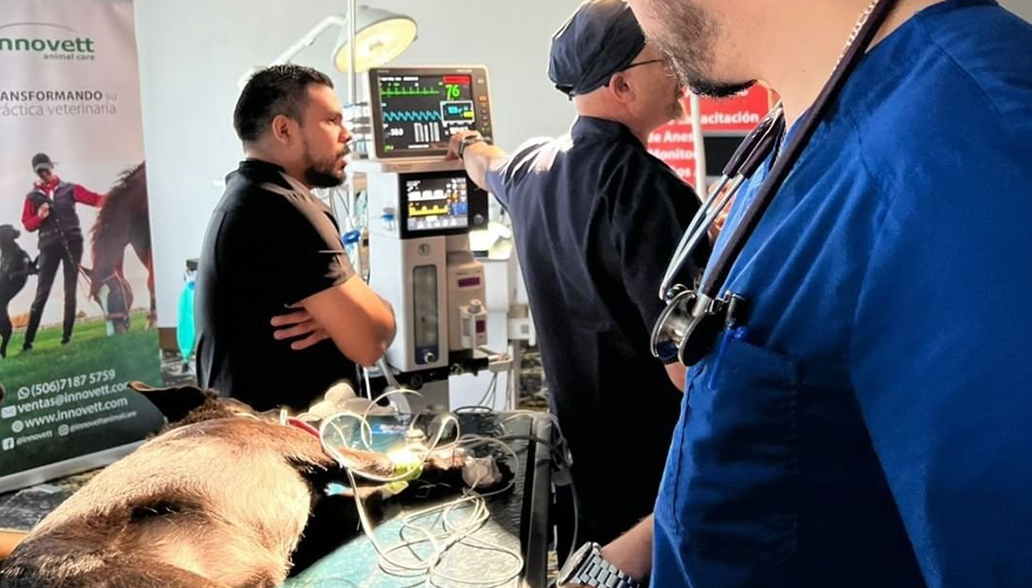 innovett-vertical-27