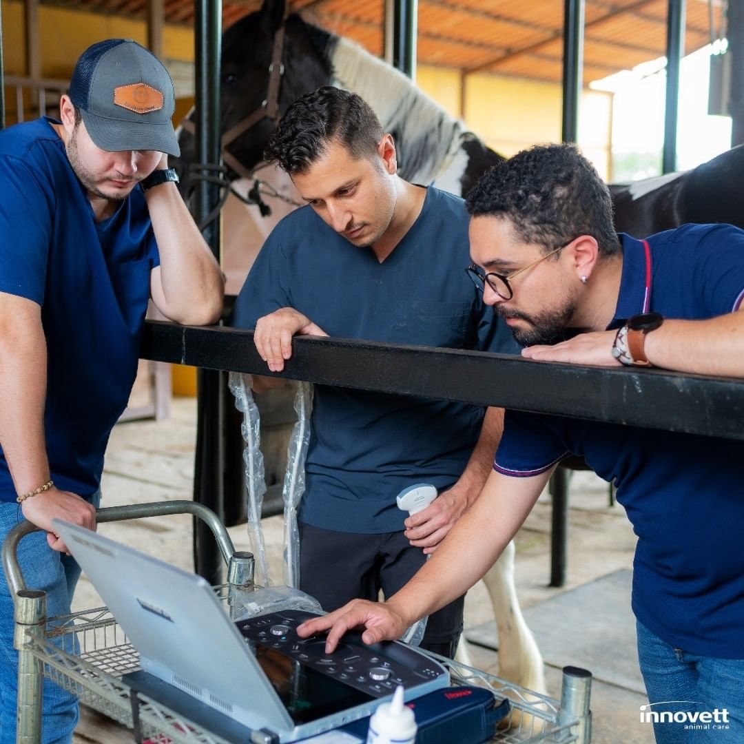 innovett-vertical-29