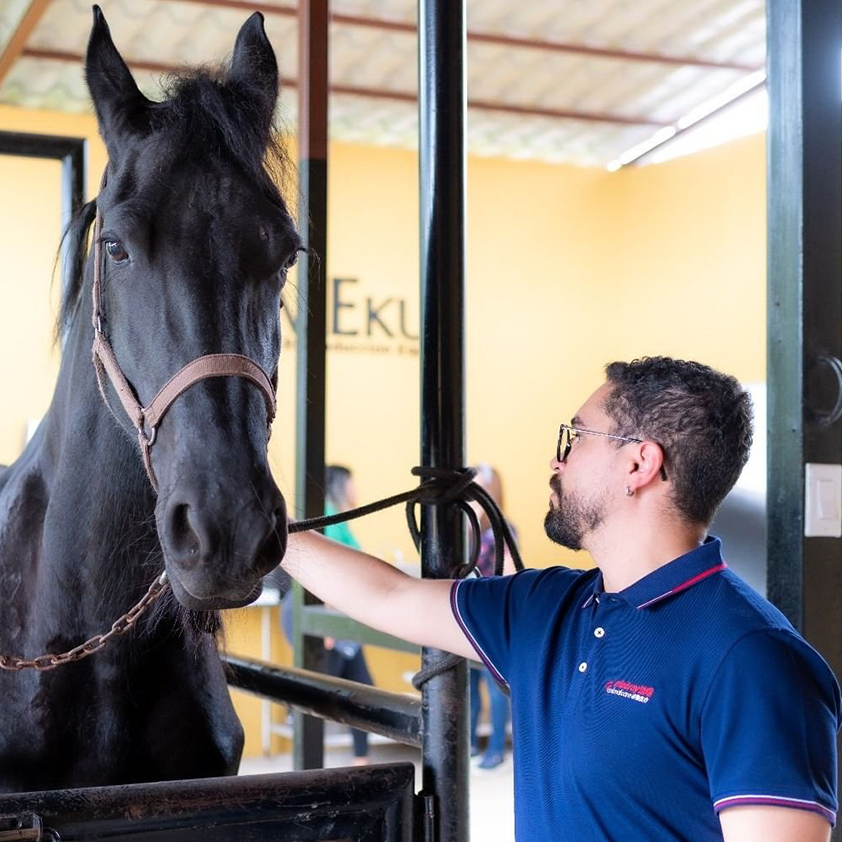 innovett-vertical-31