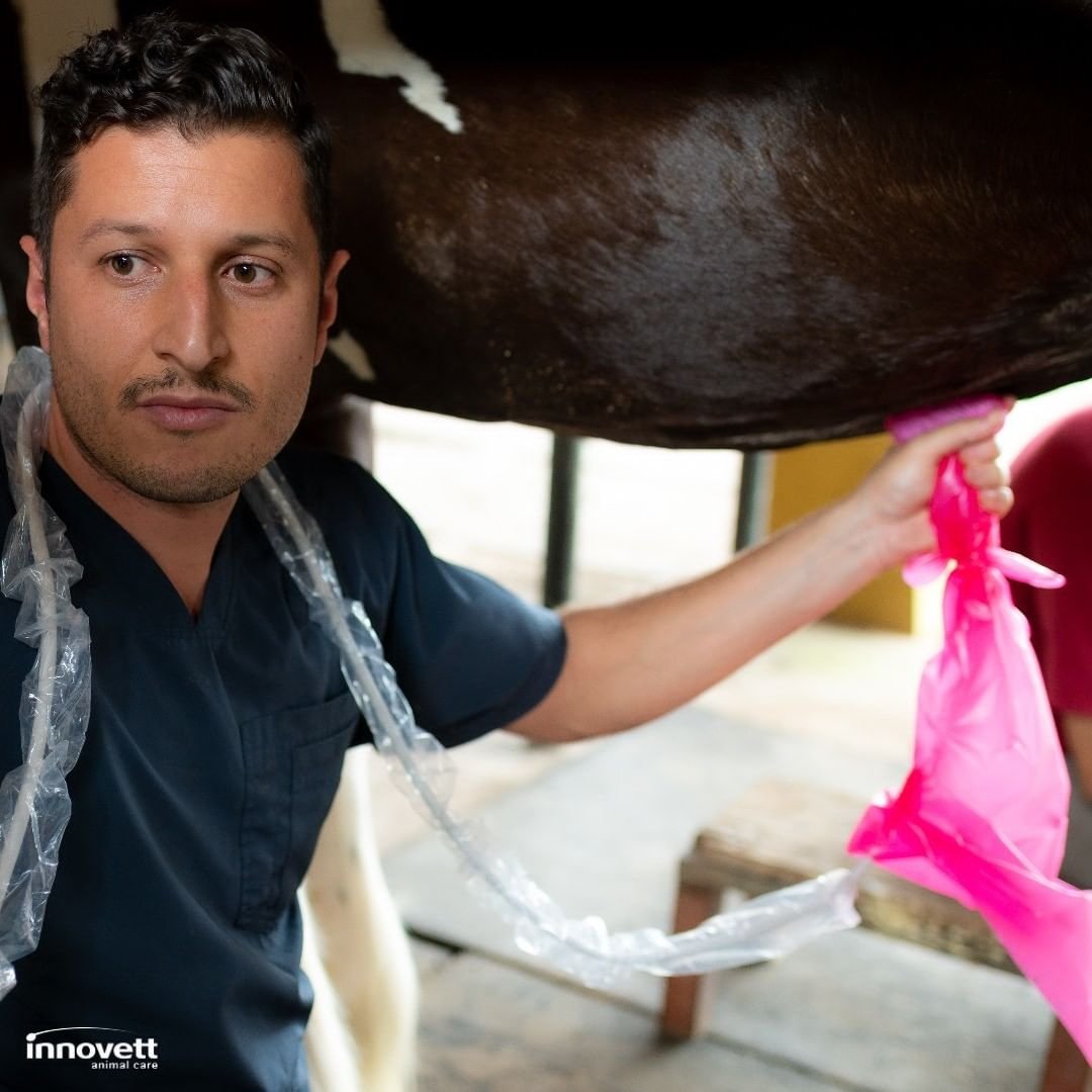 innovett-vertical-32