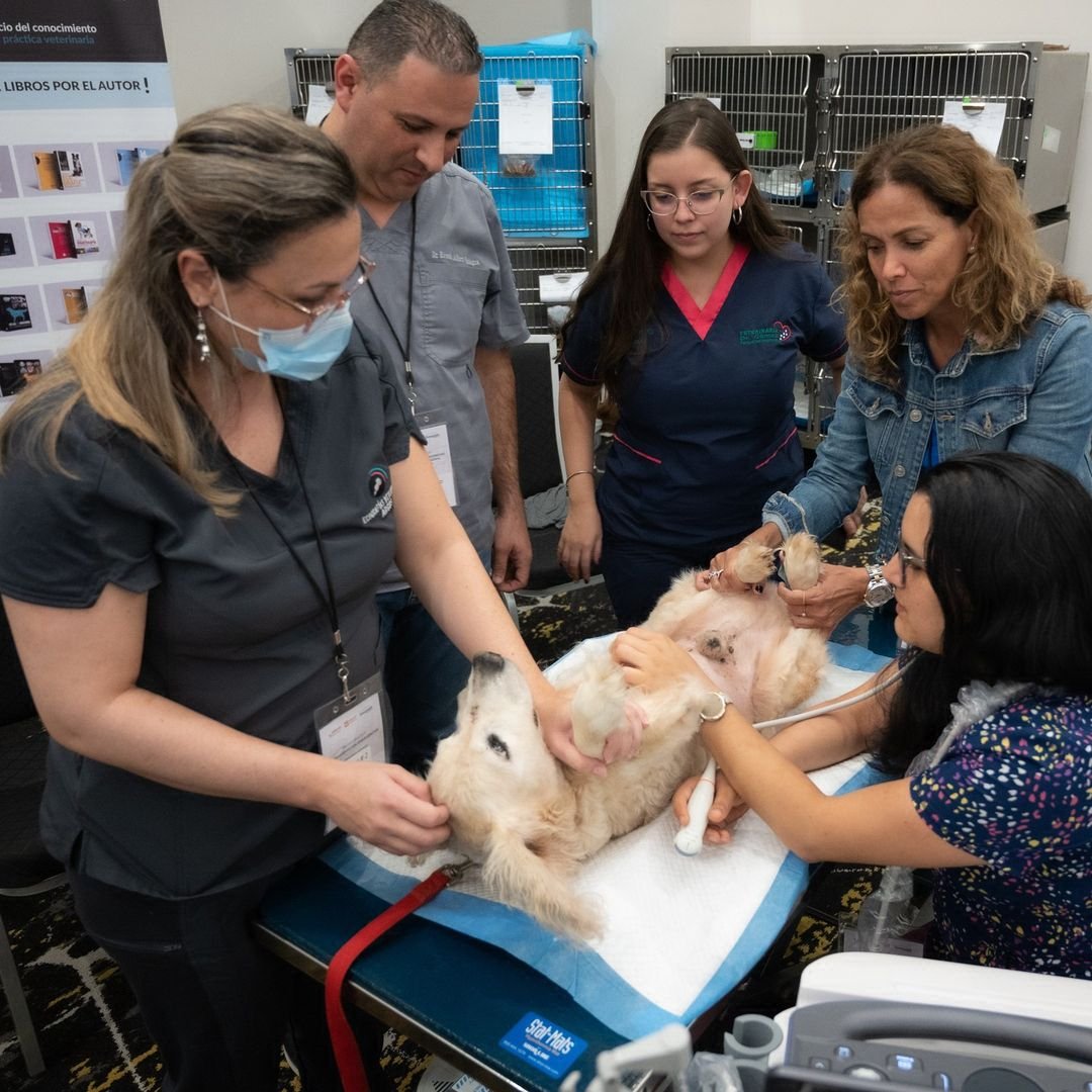 innovett-vertical-35