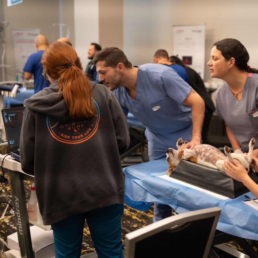 innovett-vertical-38