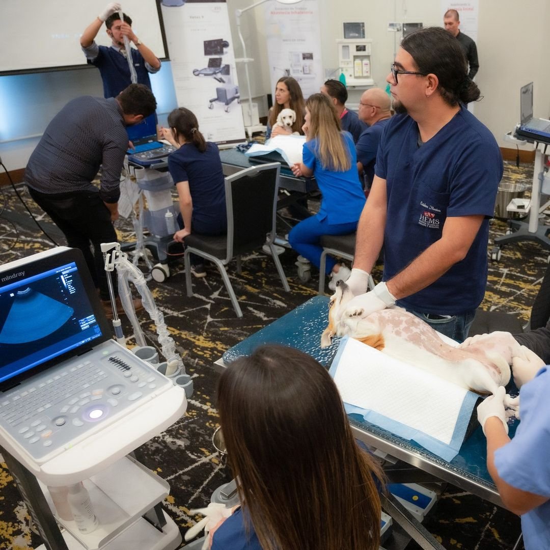 innovett-vertical-40