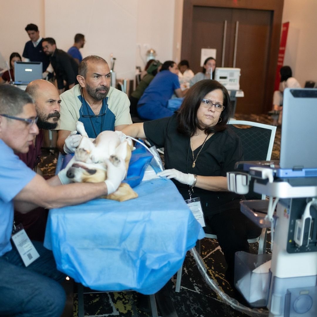 innovett-vertical-41