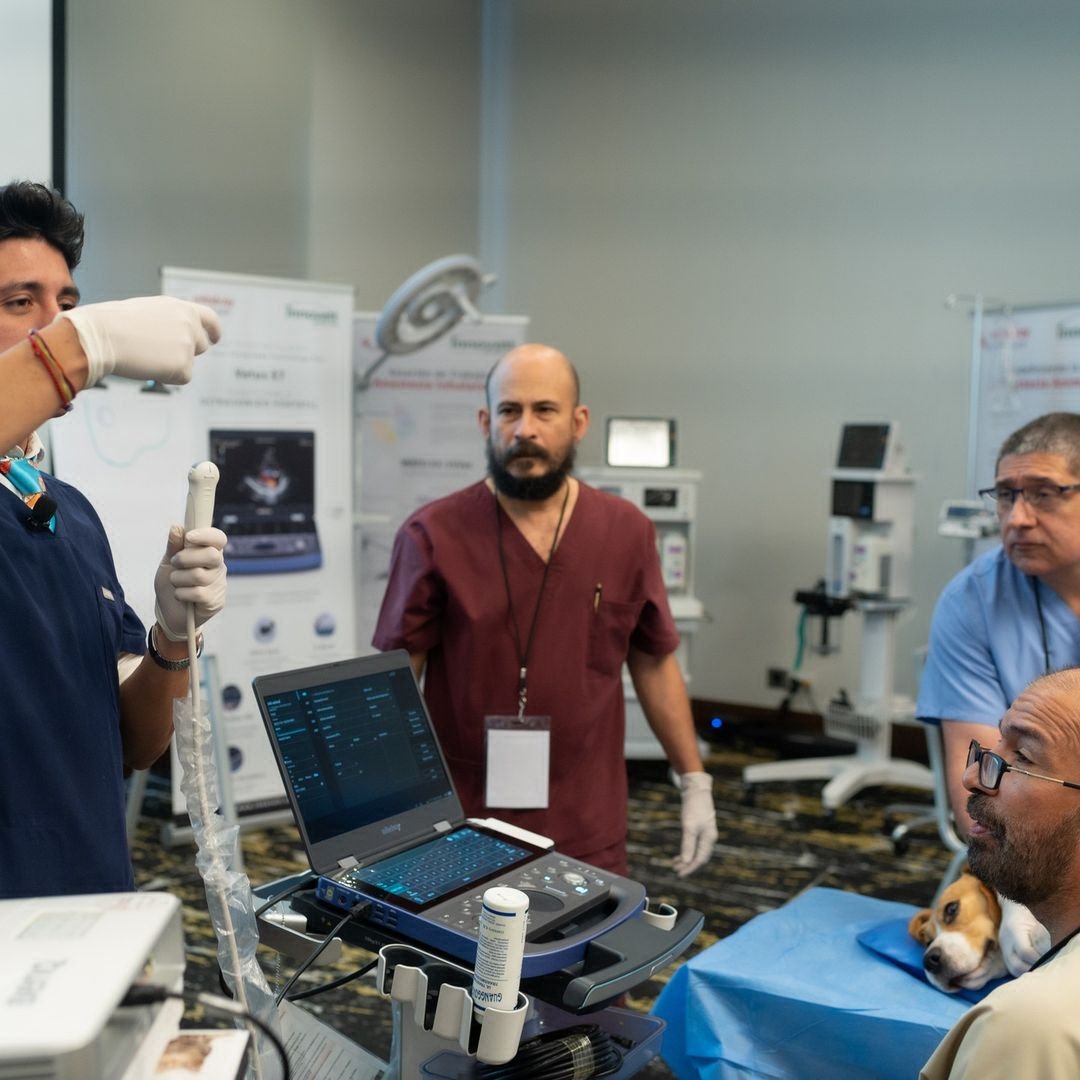 innovett-vertical-44