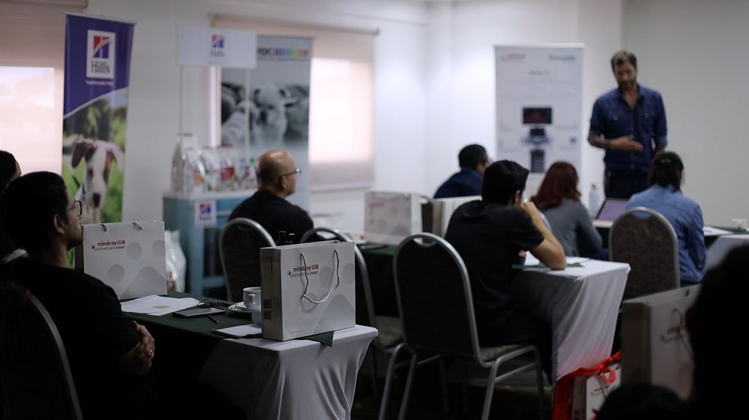 innovett-vertical-47