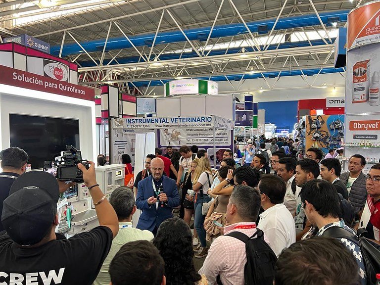 innovett-vertical-54