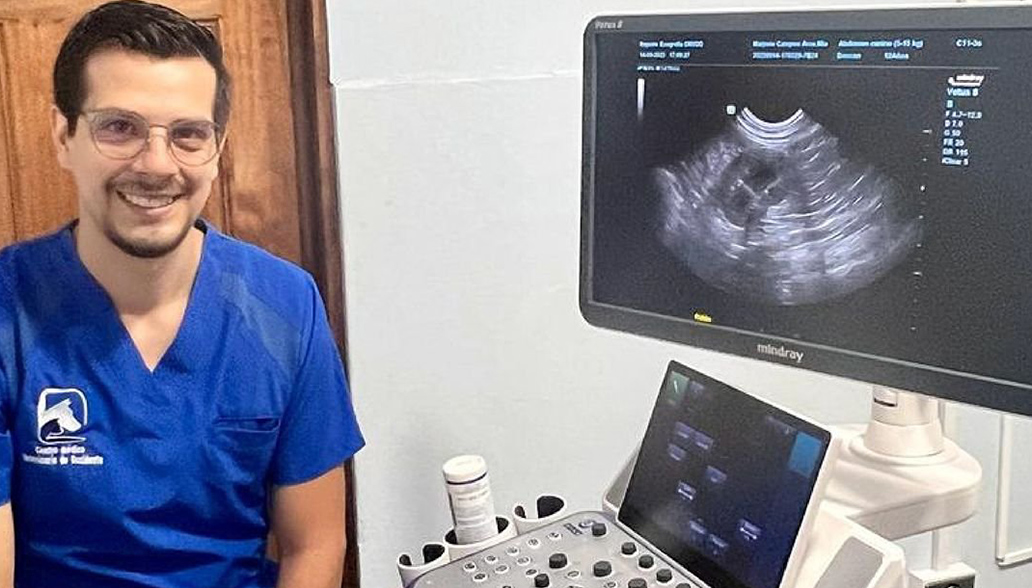 innovett-vertical-56