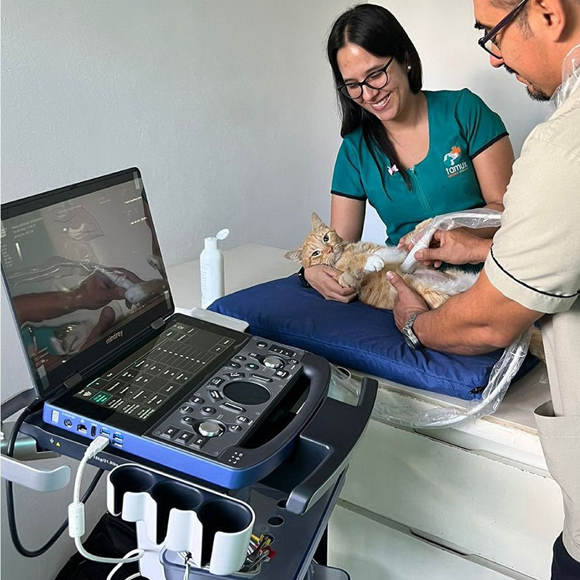 innovett-vertical-58