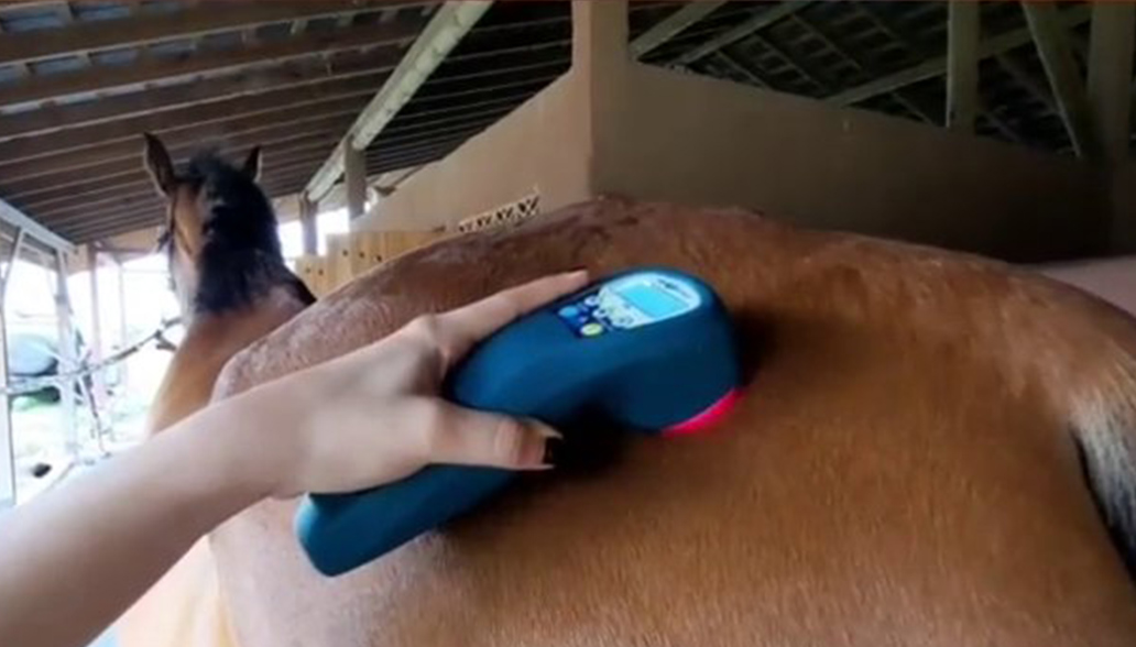 innovett-vertical-59