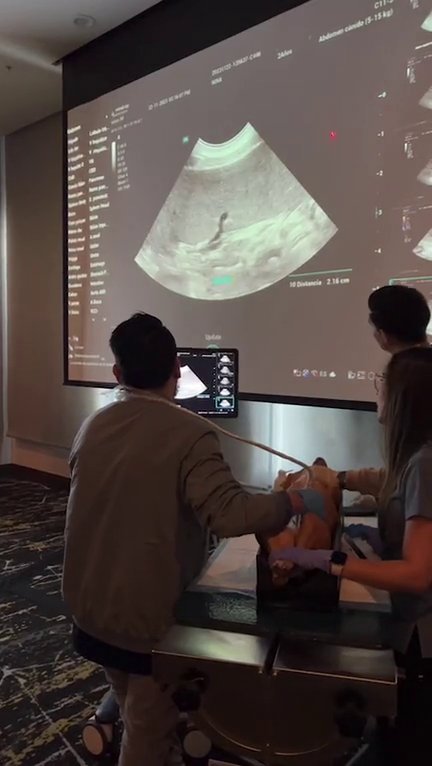 innovett-vertical-65